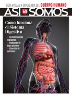 Así Somos - El cuerpo humano